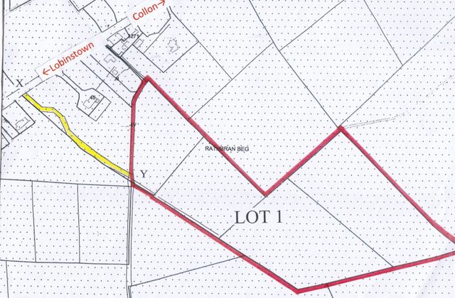 Rathbran Beg, Lobinstown, Co. Meath - Click to view photos