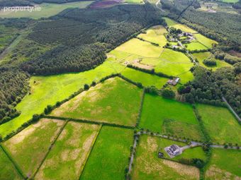 Blackwood Equestrian Centre, Derrymahon, Timahoe East, Co Kildare, Coill Dubh, Co. Kildare - Image 2