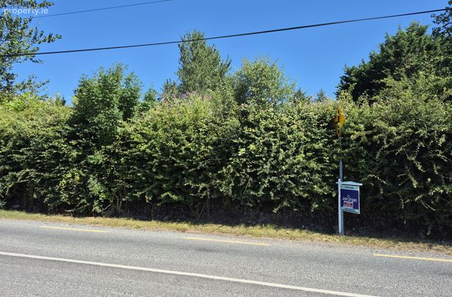 Caherlag, Glanmire, Co. Cork - Click to view photos