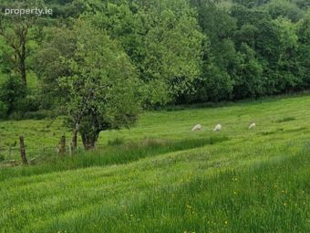 Leaghort House, Leaghort, Caher, Co. Clare, Kilclaran, Co. Clare - Image 5
