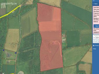Approx 17 Acres, Moanlahan, Kildinan, Co. Cork, Kildinan, Co. Cork - Image 3