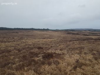 Tyreda Upper, Tulla, Co. Clare