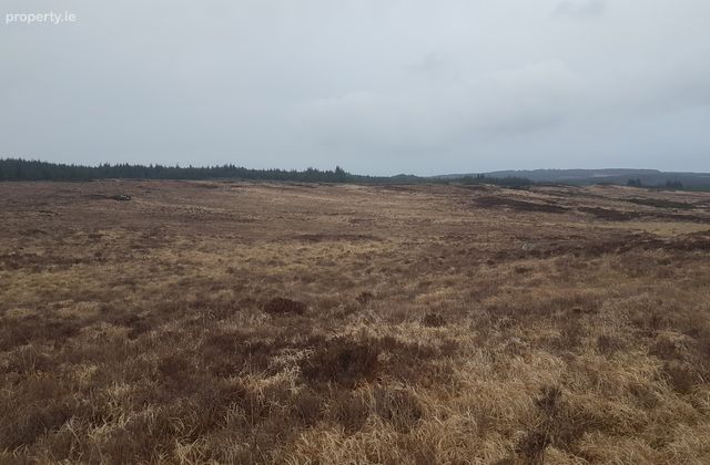 Tyreda Upper, Tulla, Co. Clare - Click to view photos
