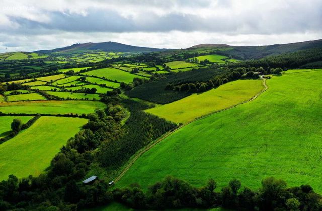 Lisnageenly, Dolla, Co. Tipperary, Dolla, Co. Tipperary - Click to view photos