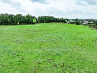 Clonbonny, Athlone, Fardrum, Co. Westmeath - Image 4
