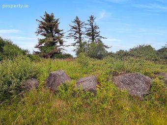 Lot 3 - Two Plots Of Land, Carrowkeel East, Inagh, Ennis, Co. Clare, Inagh, Co. Clare - Image 3