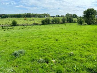 C. 48 Acres In Mountain Forthill, Ballyhaunis, Co. Mayo - Image 5