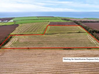 Ballyknock, Whitegate, Midleton, Co. Cork - Image 4