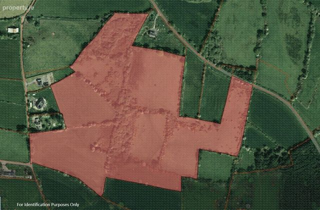 Lands Miltown, Graiguenamanagh, Co. Kilkenny - Click to view photos