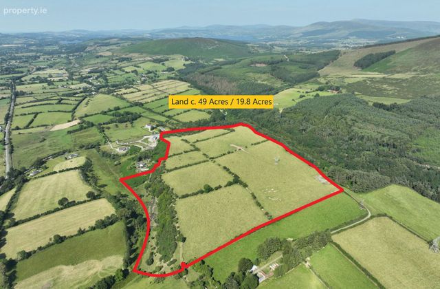 Land C. 49 Acres - 19.82 Ha., Mullycagh Upper, Donard, Co. Wicklow - Click to view photos