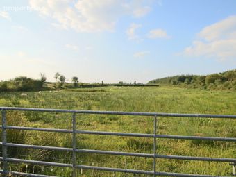 Tartan, Ballinameen, Co. Roscommon, Ballinameen, Co. Roscommon - Image 3