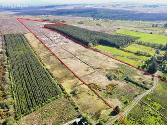 Bockagh, Ballaghaderreen, Roscommon, Ballaghaderreen, Co. Roscommon - Image 2