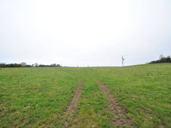 Whitepark, Approx. 6.29 Hectares / 15.54 Acres, Roscrea, Co. Tipperary, Roscrea, Co. Tipperary - Image 2