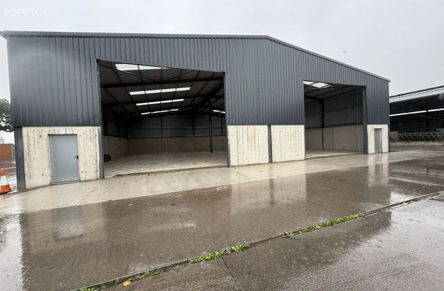Rahin, Ballylinan, Ballylynan, Co. Laois - Click to view photos