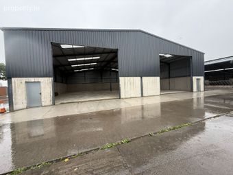Rahin,Ballylinan,Co. Laois, Ballylynan, Co. Laois
