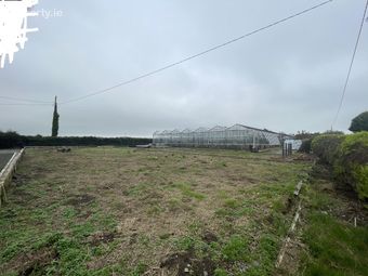 Ralph Hill, Ralph, Fethard-On-Sea, Co. Wexford - Image 4