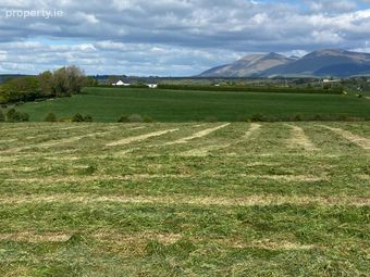 Mountain View, Tully, Glenroe, Glenroe, Co. Limerick - Image 3