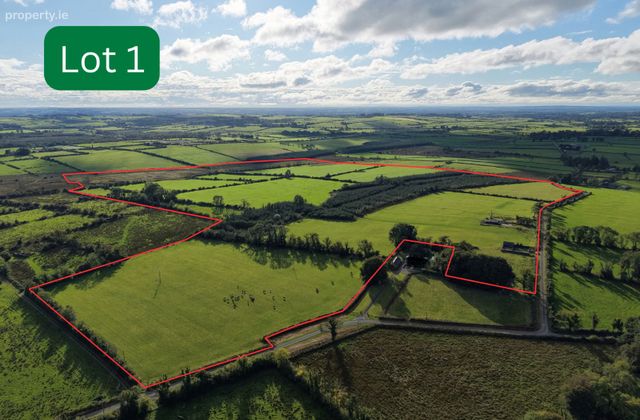 Highlake, Ballymacurley, Co. Roscommon - Click to view photos
