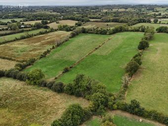 Clongownagh, Kildimo, Limerick, Co. Limerick, Dromore, Co. Limerick - Image 2
