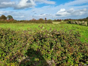 Morenane, Askeaton, Co. Limerick - Image 4