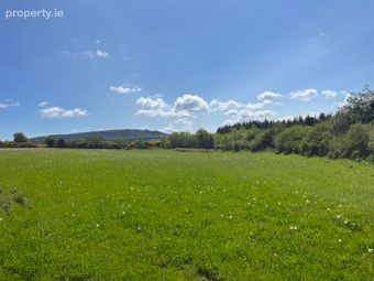 C.39 Acres (15.79ha) Slanelough, Ashford, Co. Wicklow - Image 3