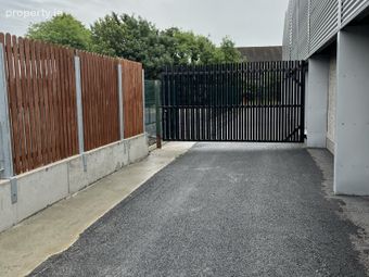 Kea Lew, Portlaoise, Co. Laois