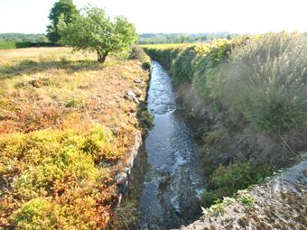 Timeighter, Roscrea, Co. Tipperary, Roscrea, Co. Tipperary - Image 5