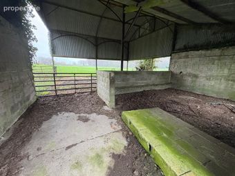 Kilpatrick, Bunbrosna, Mullingar, Co. Westmeath - Image 4