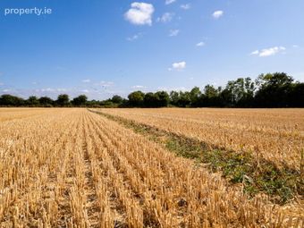 Straboe, Killerig, Co. Carlow, Killerig, Co. Carlow - Image 4