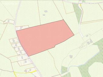 17.65 Acres, Richmond, Nenagh, Co. Tipperary, Nenagh, Co. Tipperary - Image 3