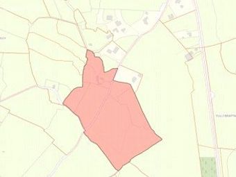 Laghtyshaughnessy, Gort, Co. Galway, Gort, Co. Galway