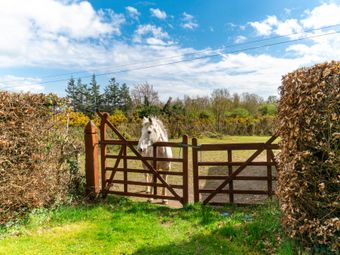 Rathglasson, Silliothill, Kilcullen, Co. Kildare, Kilcullen, Co. Kildare - Image 4
