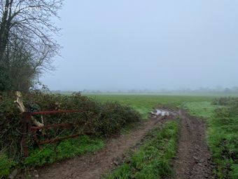 Castlegannon, Mullinvat, Co. Kilkenny, Ballyhale, Co. Kilkenny - Image 2
