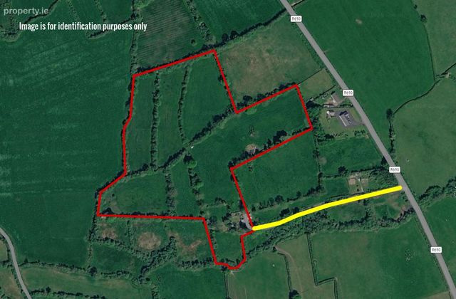 Ballyduggan, Mullinahone, Co. Tipperary - Click to view photos