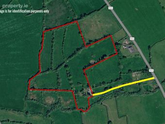 Ballyduggan, Mullinahone, Co. Tipperary