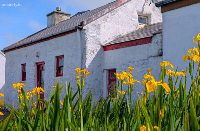 Dohilla, Valentia Island, Valentia Island, Co. Kerry - Click to view photos