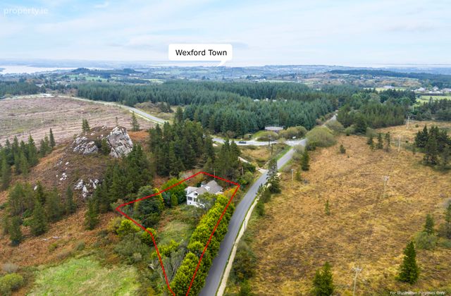 Pehuen, Shelmalier Commons, Barntown, Co. Wexford, Barntown, Co. Wexford - Click to view photos