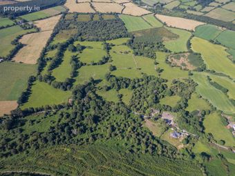 104 Acres At Gneeves, Lombardstown, Co. Cork, Lombardstown, Co. Cork - Image 2
