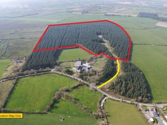 Mature Forestry Plantation C.59.35 Acres Crandaniel, Kilmuckridge, Co. Wexford