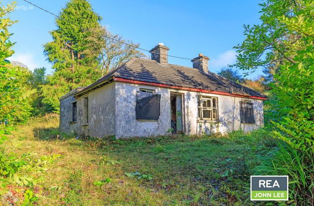 Knockfune, Toor, Newport, Co. Tipperary, Newport, Co. Tipperary - Click to view photos