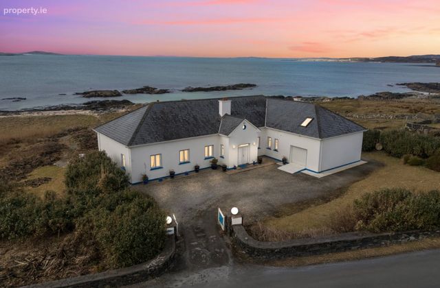 Blue Salmon, Ballyconneely, Clifden, Co. Galway, Ballyconneely, Co. Galway - Click to view photos