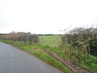 Whitepark, Approx. 6.29 Hectares / 15.54 Acres, Roscrea, Co. Tipperary, Roscrea, Co. Tipperary - Image 4