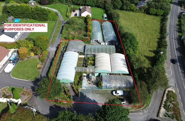 Ballyvourney Nursery Garden Centre, Ballymakeera, Co. Cork - Click to view photos