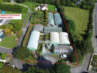 Ballyvourney Nursery Garden Centre, Ballymakeera, Co. Cork