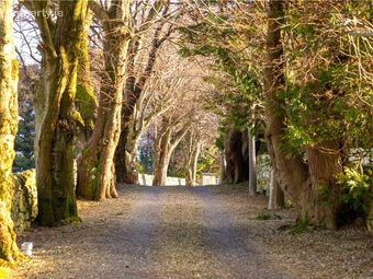 Ballybetagh House, Ballybetagh Road, Dublin 18, Dublin 18 - Image 3