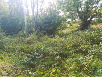 Park, Carracastle, Co. Mayo - Image 5