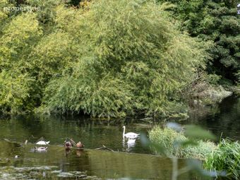 Apartment 66, Block E, Kilmainham, Dublin 8 - Image 5