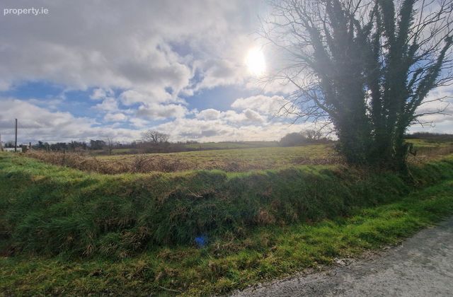 Site 2 Derryguiha, Kilmurry Mcmahon, Kilrush, Co. Clare - Click to view photos