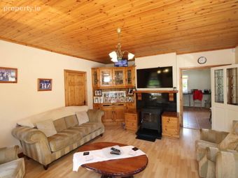 Grenanstown, Toomevara, Nenagh, Co. Tipperary, Sallypark, Co. Tipperary - Image 3