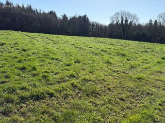 Knocknavar, Cappawhite, Co. Tipperary - Image 3